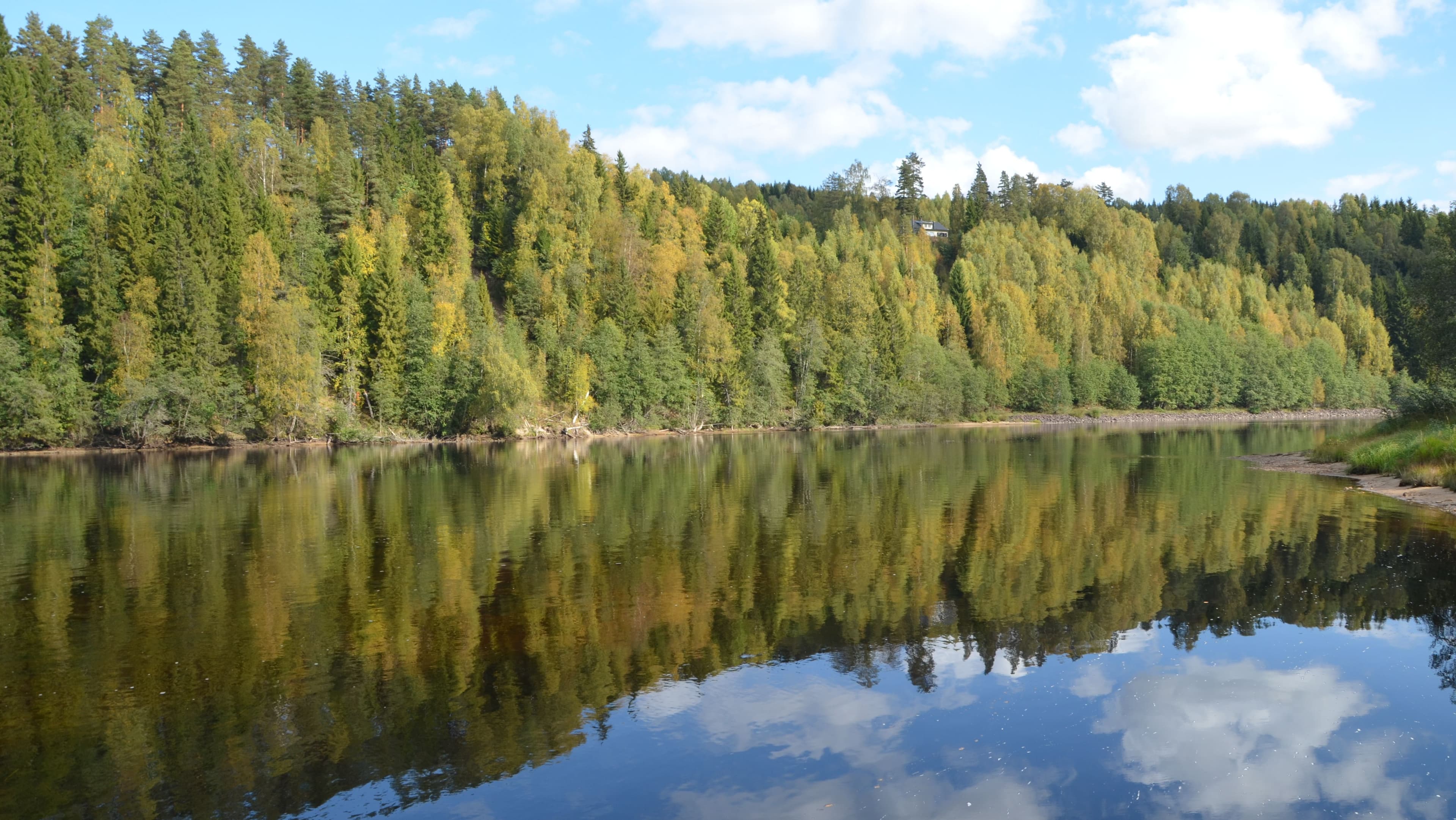 River Thrives Again After Dam Is Removed