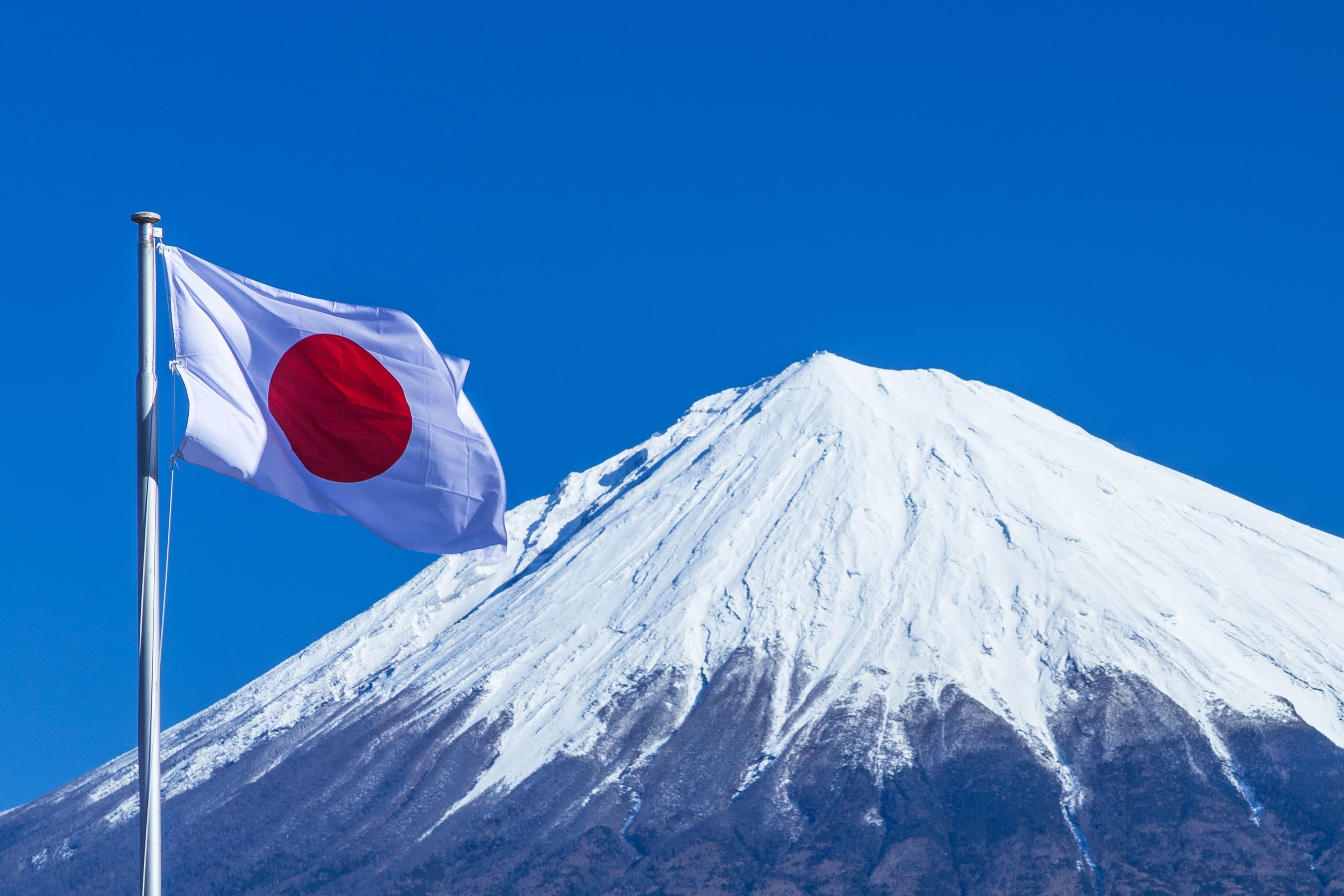 Japan's Rare Earth Metals Problem