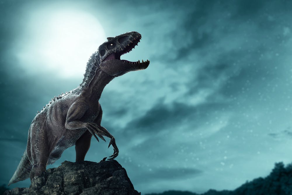 Asteroid Strike May Not Be the Only Reason for Dinosaur Extinction