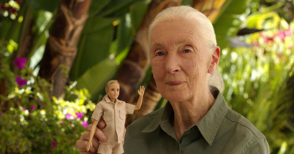 Barbie Launches Jane Goodall Doll