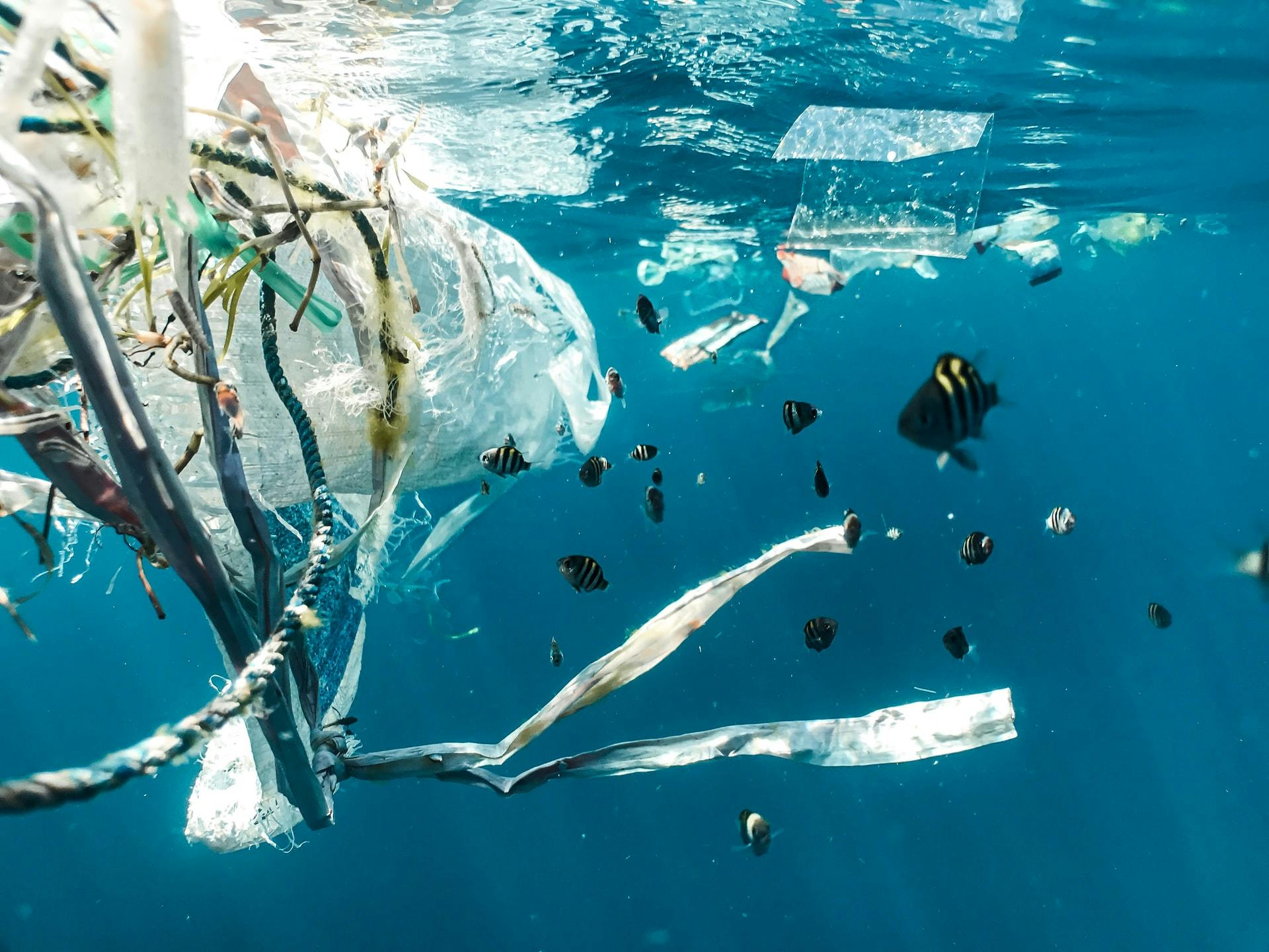 Building The Bacteria That Can Eat Plastic