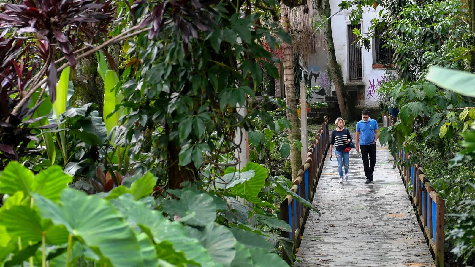 Columbian City Beats the Heat with Green Corridors