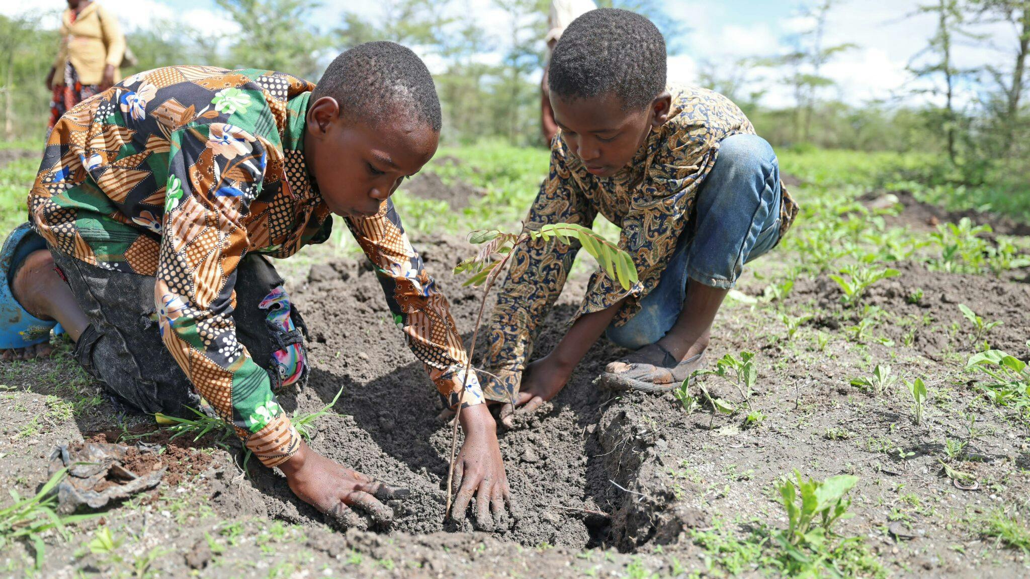 Kenya’s Tree Planting Holiday