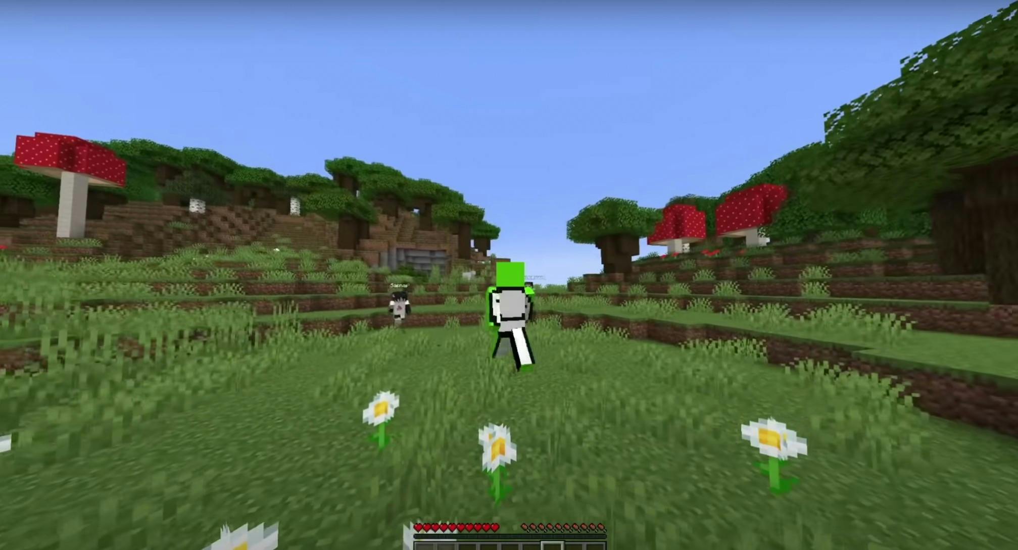 Minecraft YouTuber Dream Reveals His Face