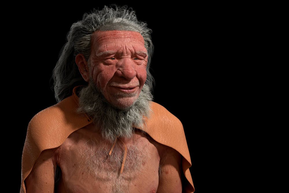 Neanderthals and Humans Co-existed in Europe