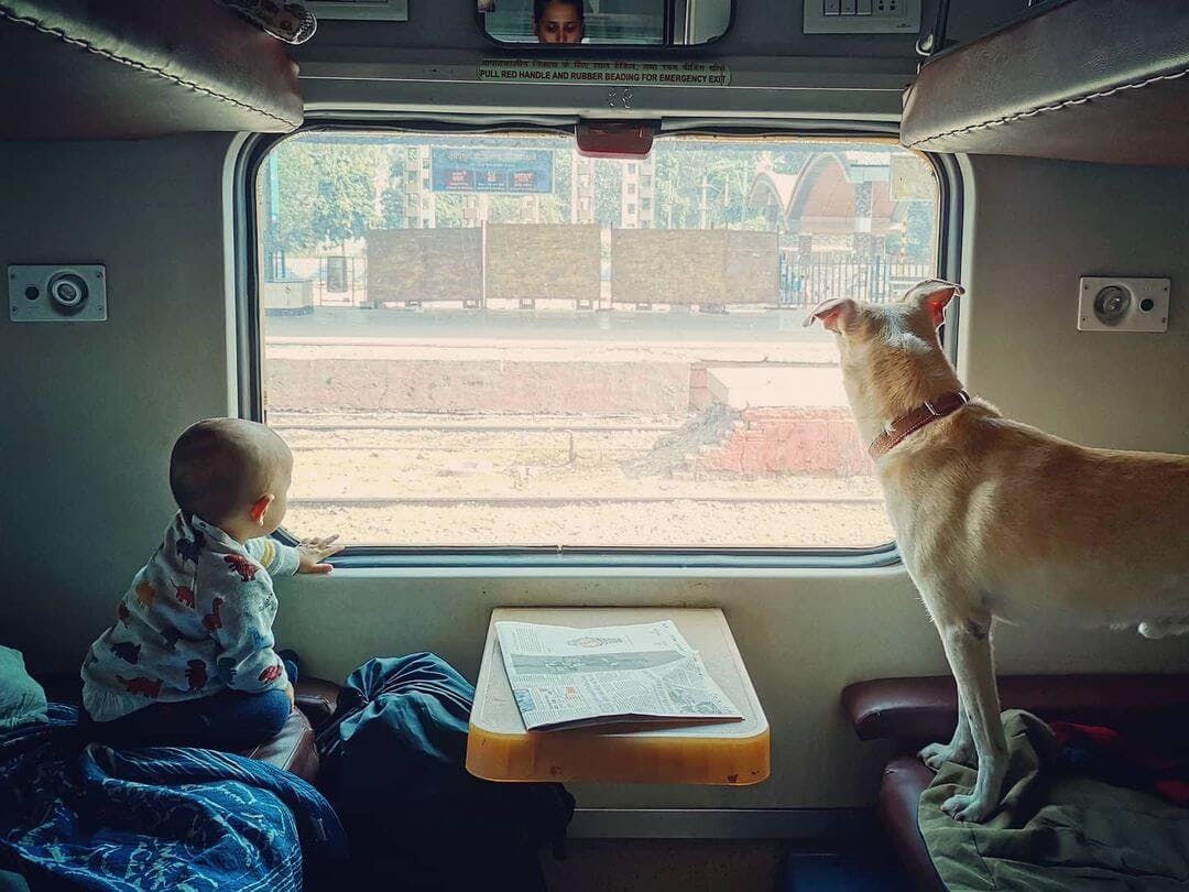 New Guidelines for Train Travel with Your Pets
