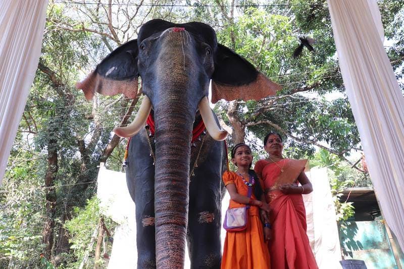 Robot Replaces Elephant in Indian Temple