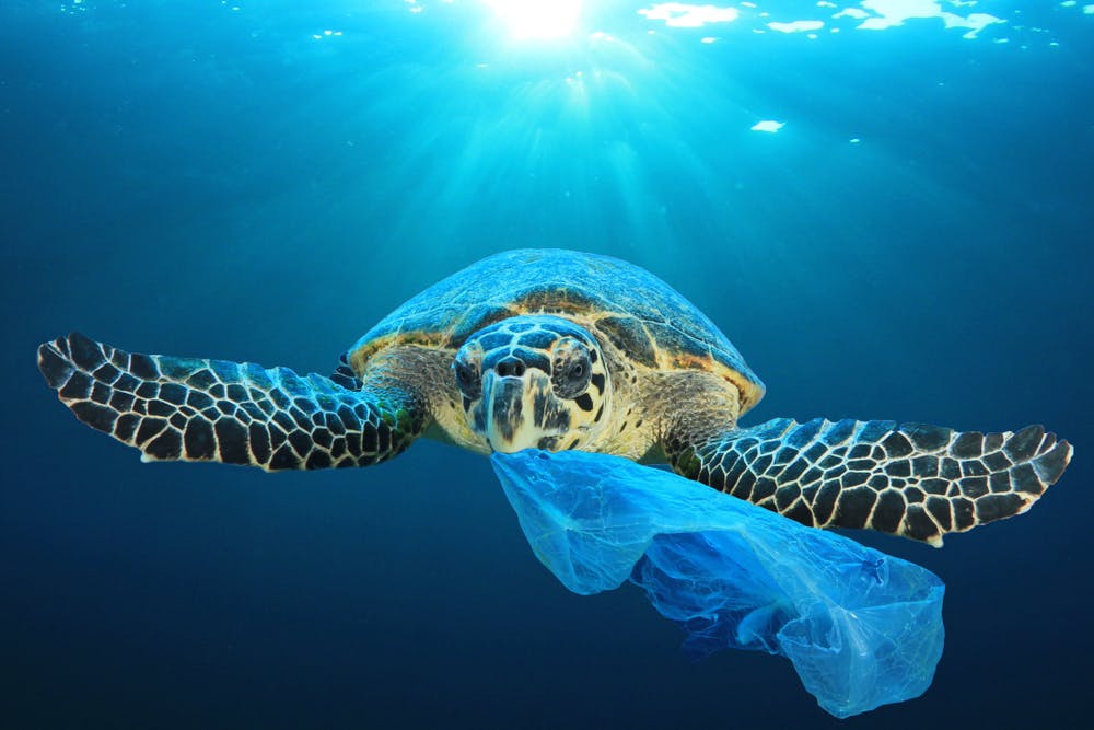 Single-Use Plastics to Be Phased Out by June 30