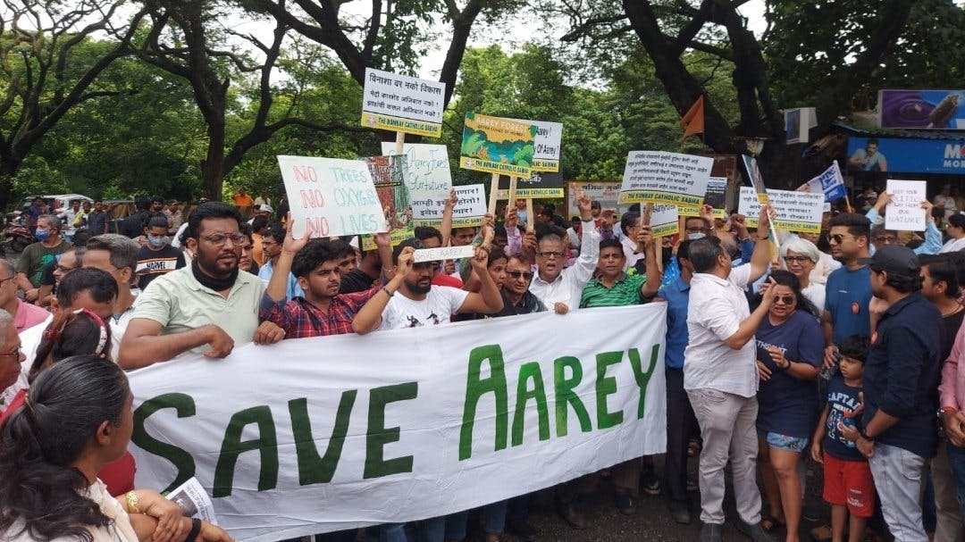 The Imminent Threat to Aarey Forest