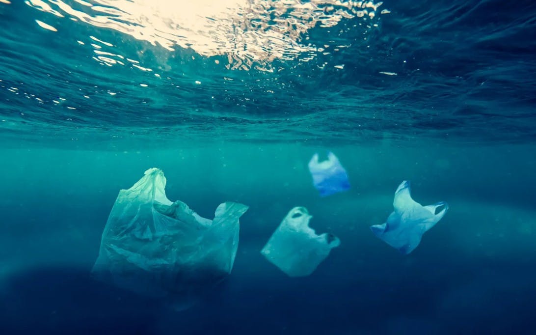 Tunisian Brand Turns Sea Plastic Into Dresses
