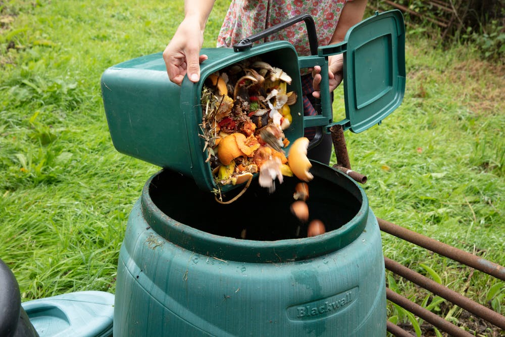 What Is Composting and How to Do It at Home?