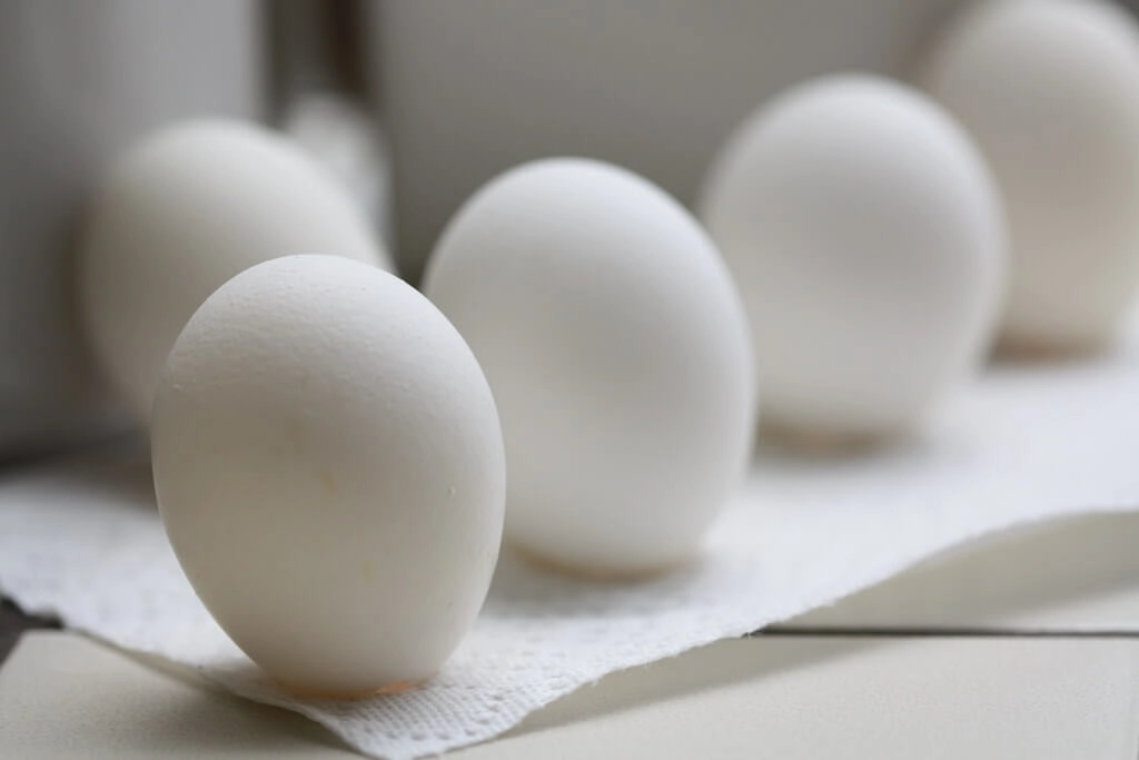 USA Faces An Egg Crisis
