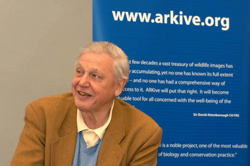 UN Names Sir David Attenborough ‘Champion Of The Earth’